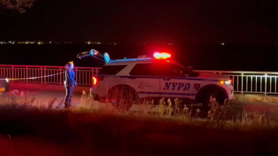 Woman critical after being stabbed in neck while out for a jog in Brooklyn
       — Syosset Community news