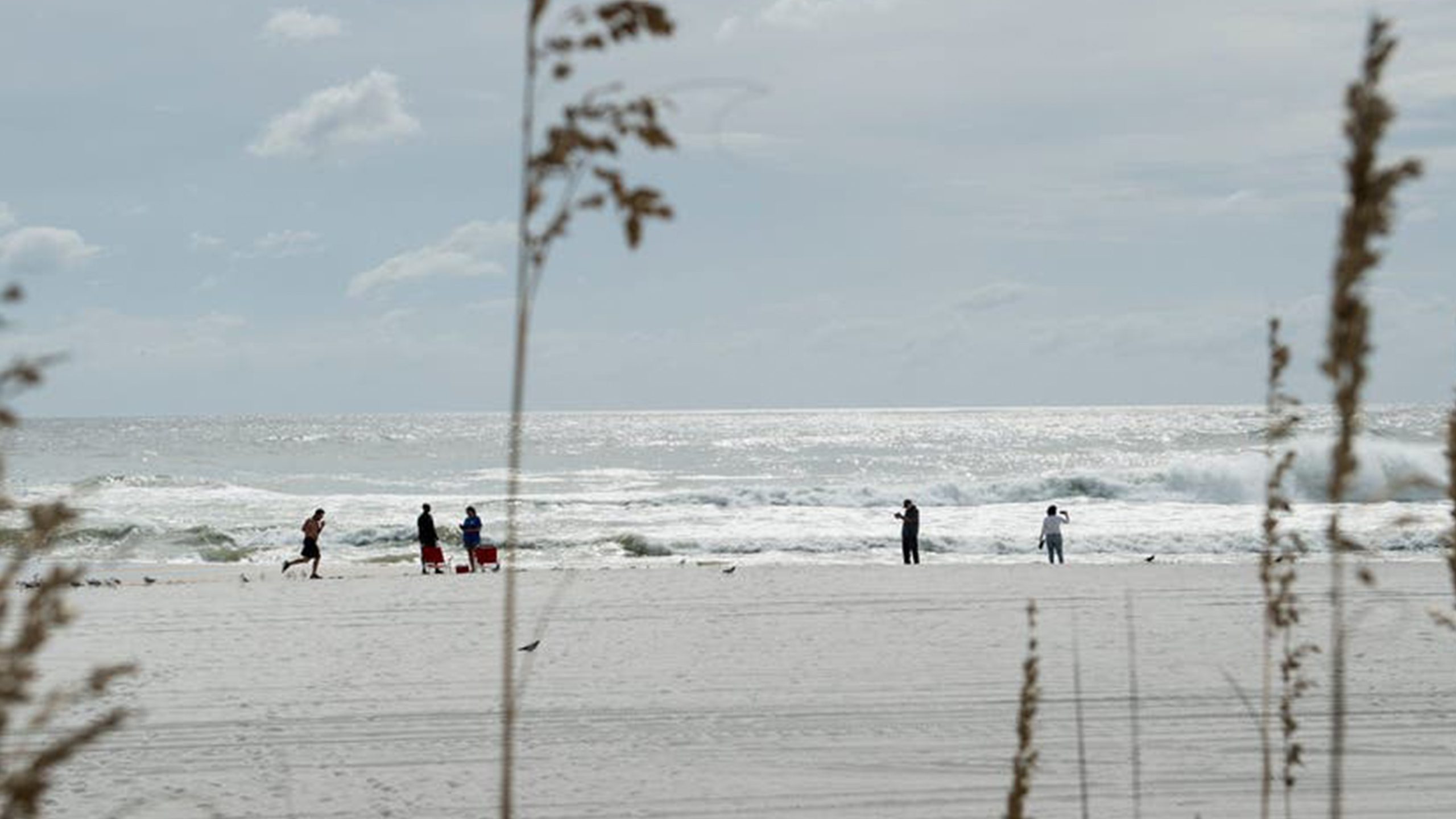 Father of 2 drowns after being caught in current trying to rescue seagull caught in fishing line — Syosset Community news